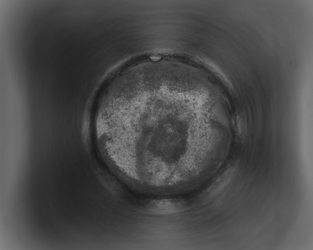 X0000100910588200807151140