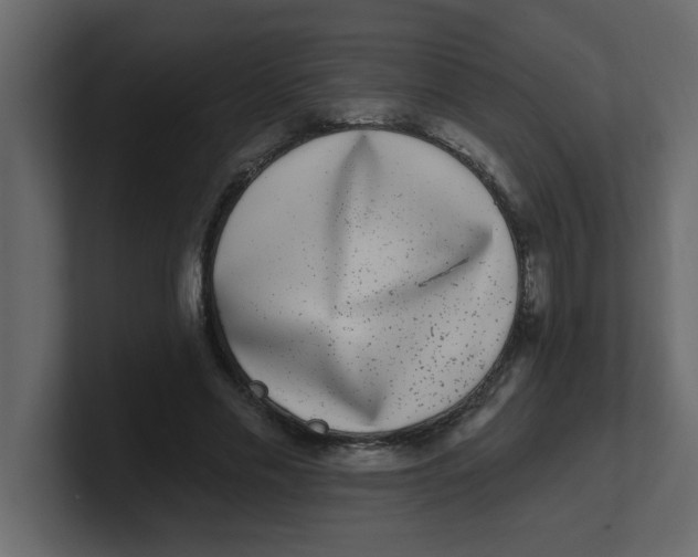 X0000100910589200807151140