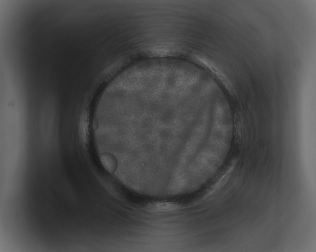 X0000100910590200807151140