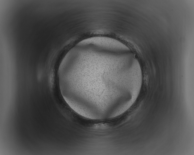 X0000100910591200807151140