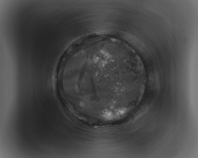 X0000100910592200807151140