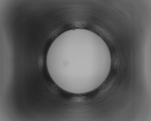 X0000100910595200807151140