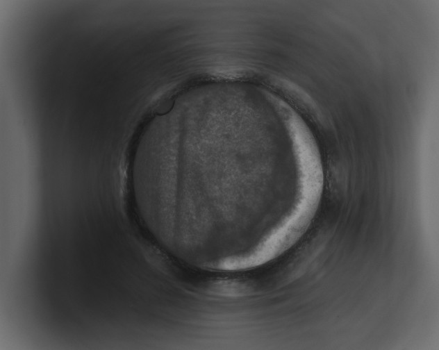 X0000100910596200807151140