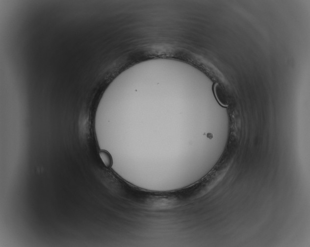 X0000100910597200807151140