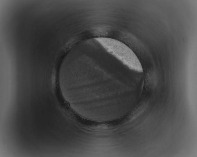 X0000100910600200807151140