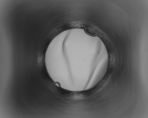 X0000100910601200807151140