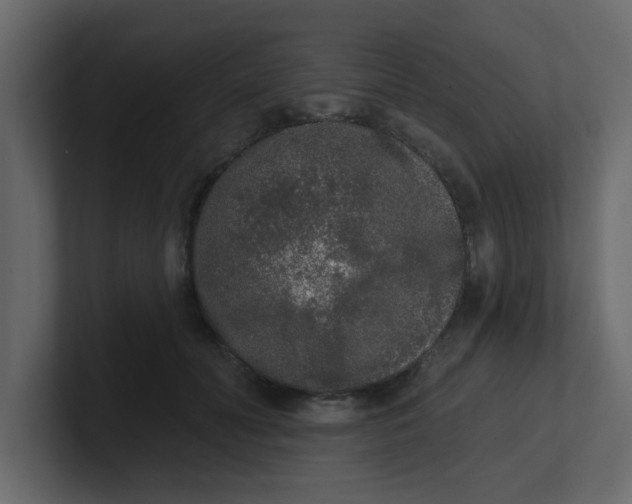 X0000100910606200807151140