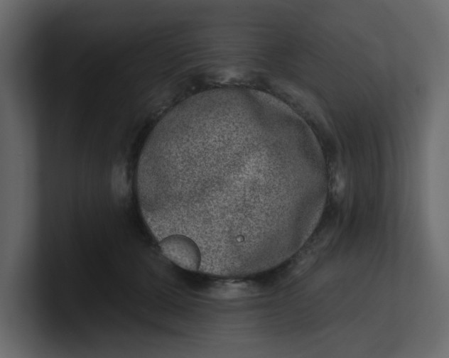 X0000100910607200807151140