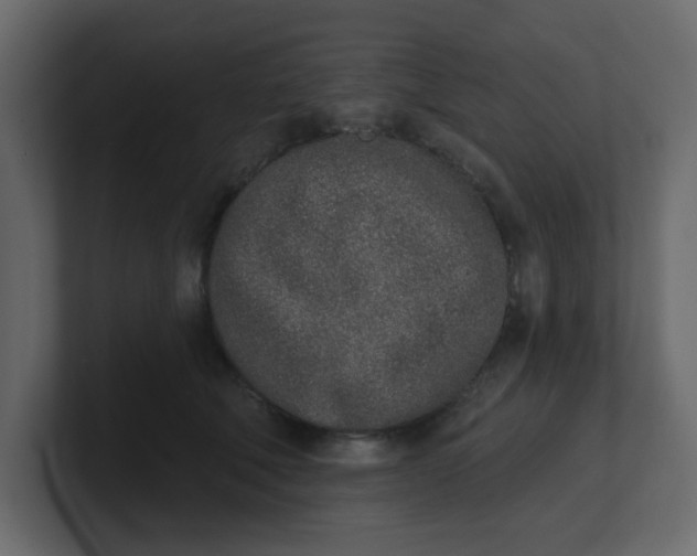 X0000100910610200807151140