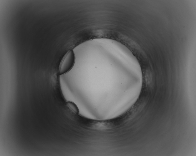 X0000100910611200807151140