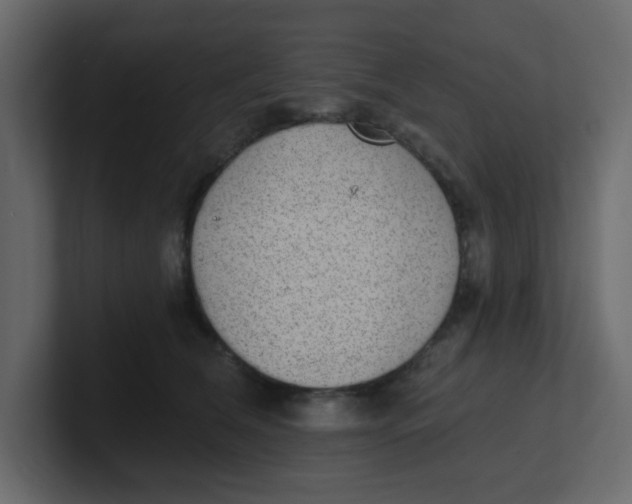 X0000100910612200807151140