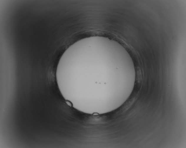 X0000100910613200807151140