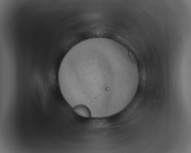 X0000100910615200807151140