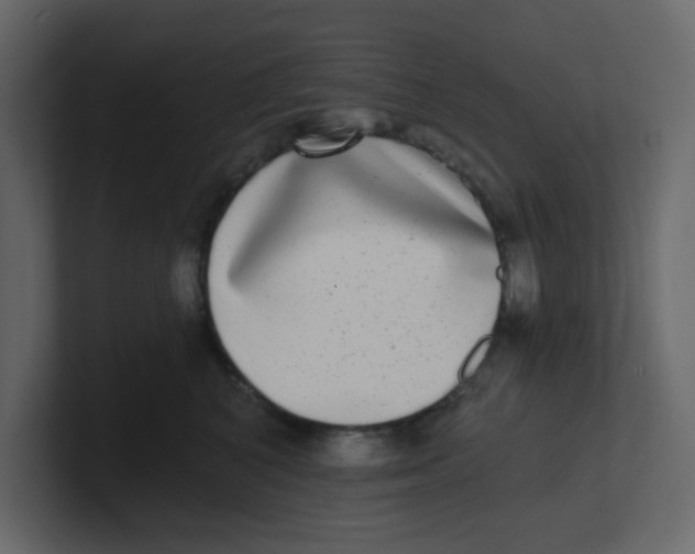 X0000100910616200807151140