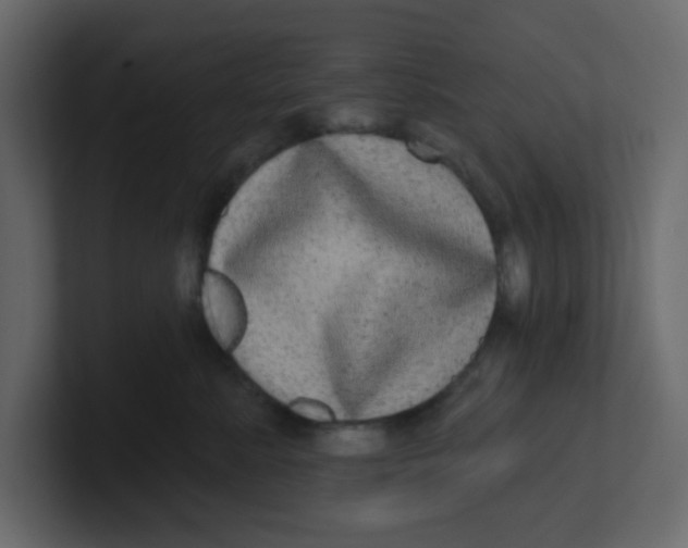 X0000100910619200807151140