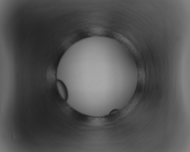 X0000100910621200807151140