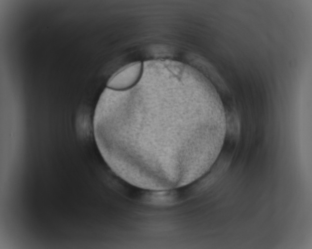 X0000100910622200807151140