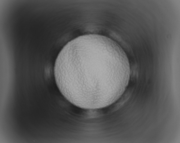 X0000100910623200807151140