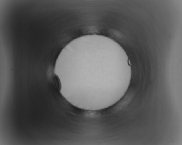 X0000100910624200807151140