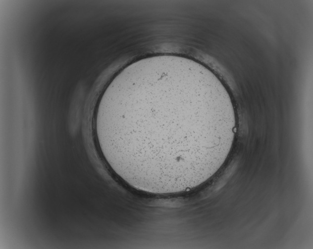 X0000100910625200807151139