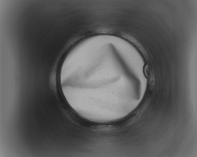 X0000100910626200807151139