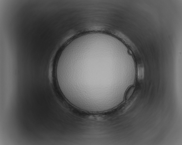 X0000100910627200807151139