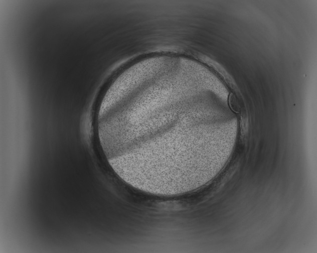 X0000100910628200807151139