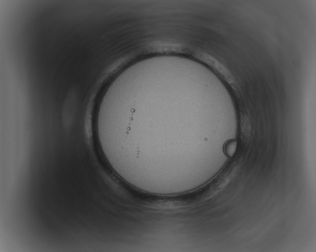 X0000100910629200807151139