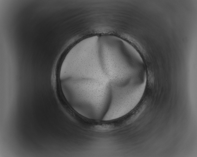 X0000100910630200807151139