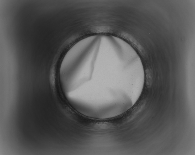 X0000100910631200807151139