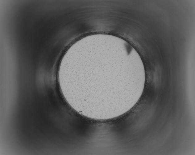 X0000100910632200807151139