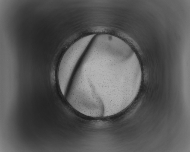 X0000100910633200807151139