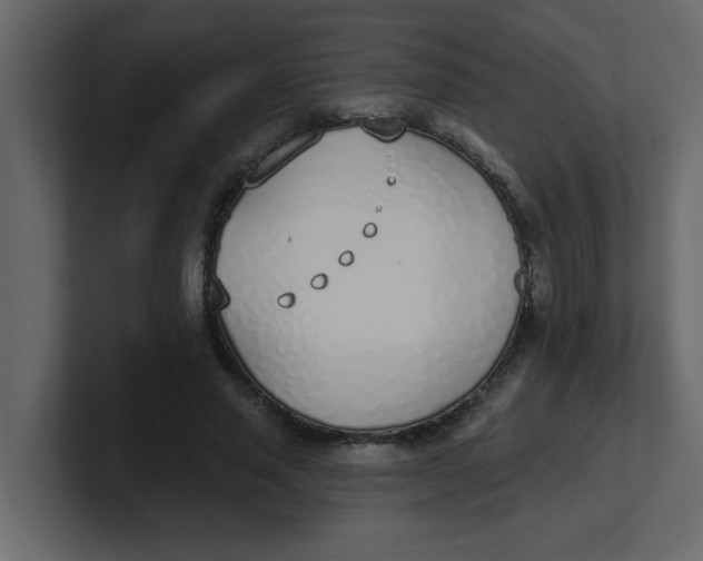 X0000100910637200807151139