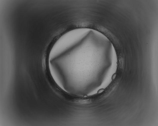 X0000100910638200807151139