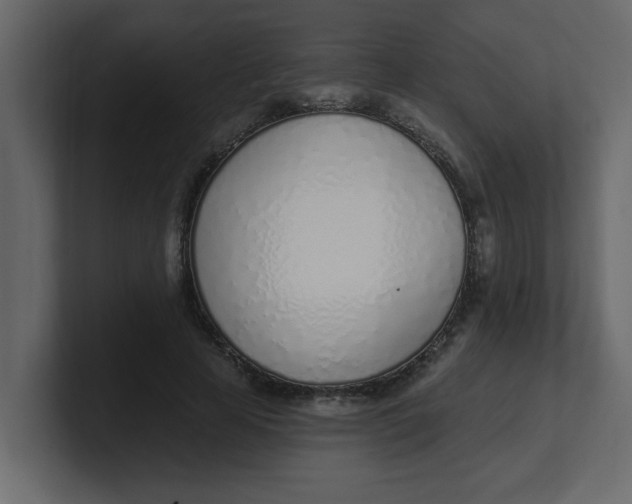 X0000100910641200807151139