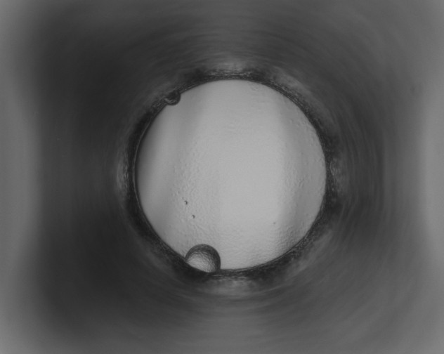 X0000100910642200807151139