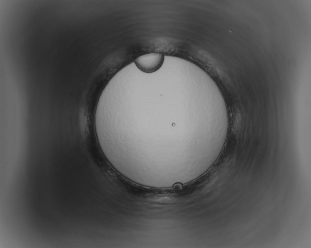 X0000100910643200807151139