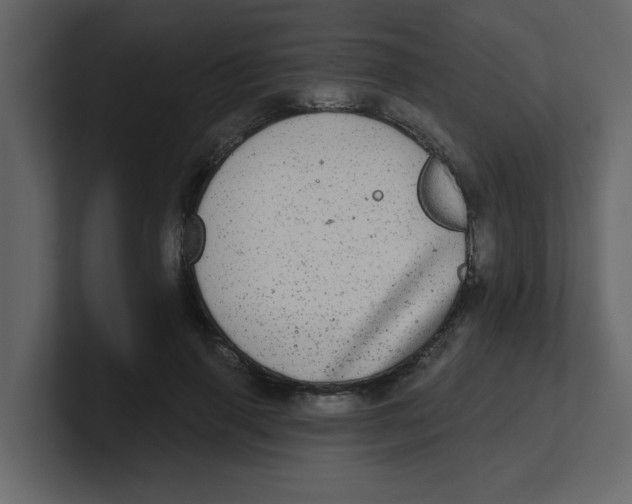 X0000100910645200807151139