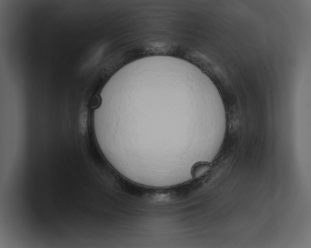 X0000100910647200807151139