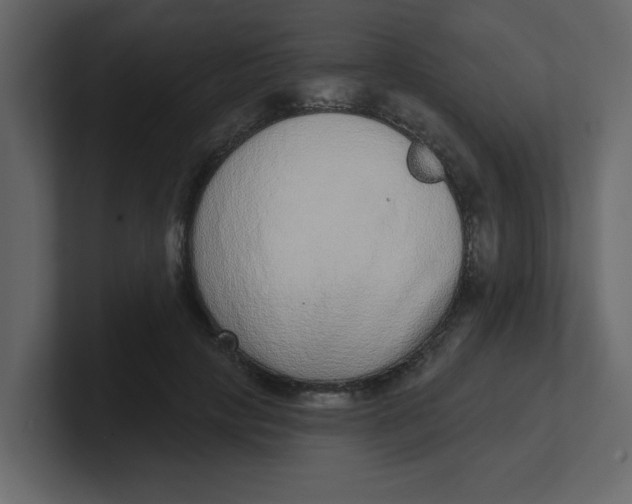 X0000100910649200807151139