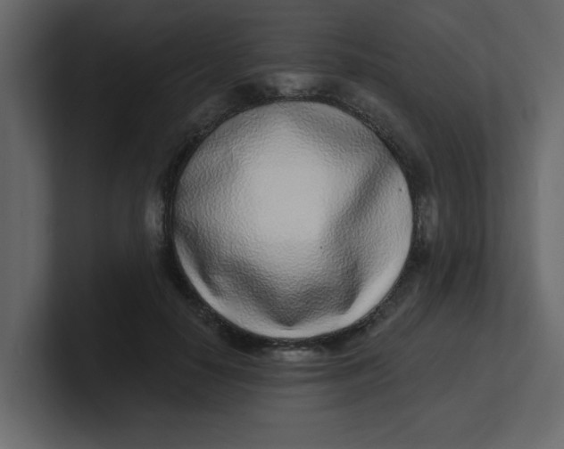 X0000100910650200807151140