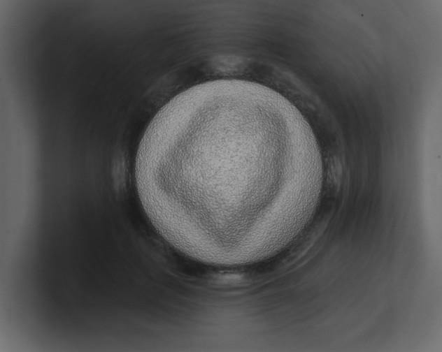 X0000100910651200807151140