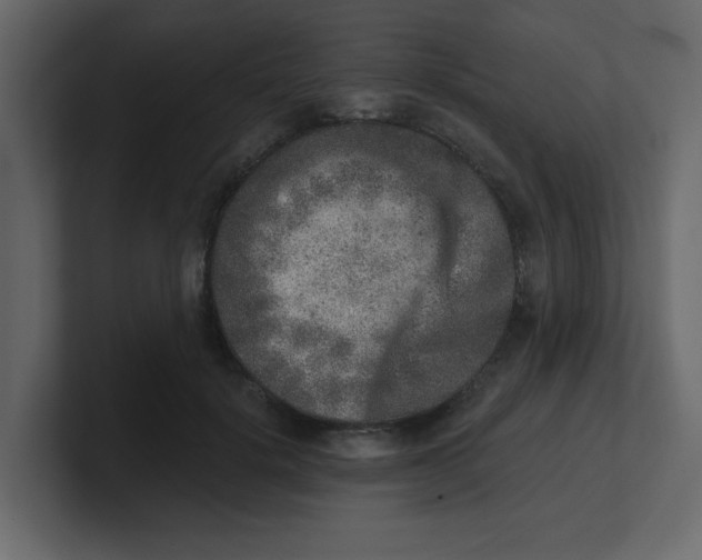 X0000100910652200807151140