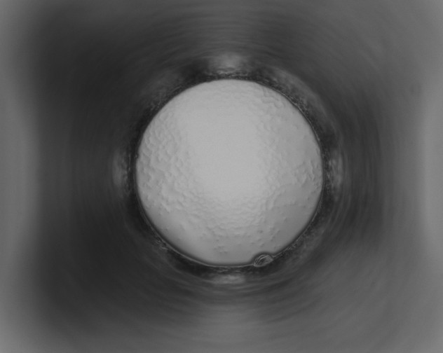 X0000100910653200807151140