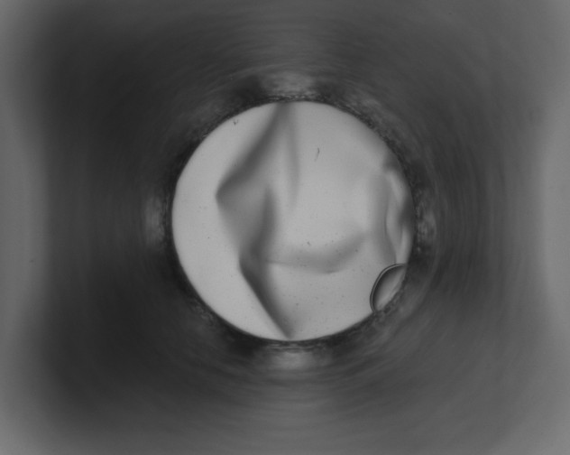 X0000100910658200807151140