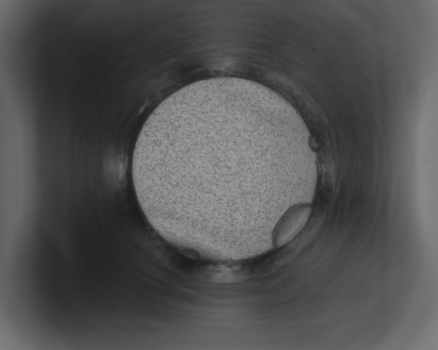 X0000100910660200807151140