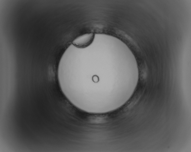 X0000100910661200807151140