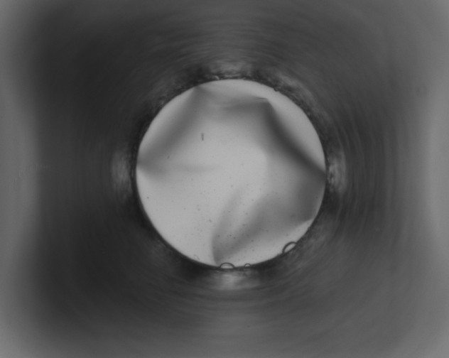 X0000100910662200807151140