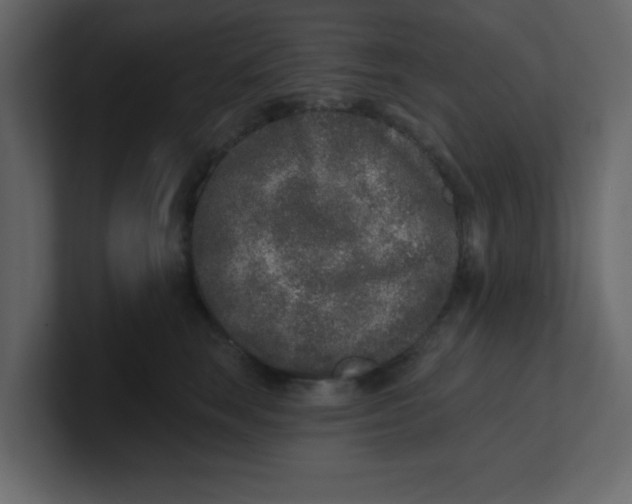 X0000100910663200807151140