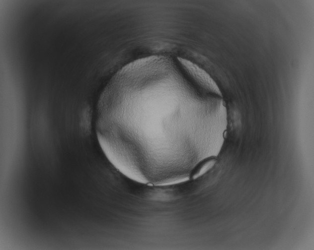 X0000100910664200807151140